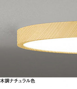 ODELIC ǥå 󥰥饤 OL251747 ̿1
