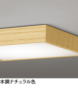 ODELIC ǥå 󥰥饤 OL251766 ̿1