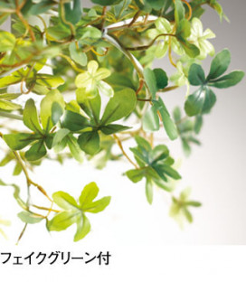 ODELIC ǥå ڥȥ饤 OP252319LD ̿2