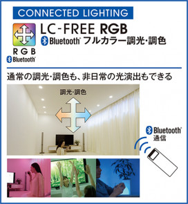 ODELIC ǥå 饤 OD361006BR ̿2