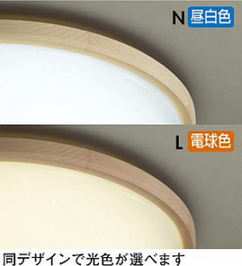 ͼ̿ | DAIKO ŵ  DCL-38605Y | ̿䡦ƥꥢΡڥ饤ȥ