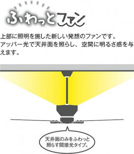  | DAIKO ŵ 󥰥ե DP-40331YE | ̿䡦ƥꥢΡڥ饤ȥ