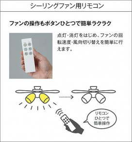  | DAIKO ŵ 󥰥ե DP-40331YE | ̿䡦ƥꥢΡڥ饤ȥ
