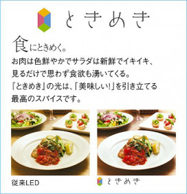  | DAIKO ŵ ڥ DPN-40441Y | ̿䡦ƥꥢΡڥ饤ȥ