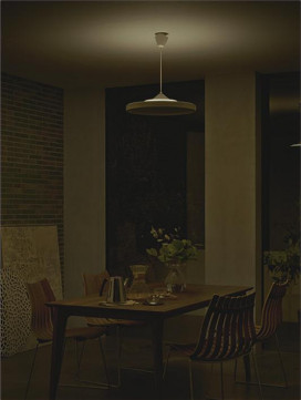  | DAIKO ŵ Ĵڥ DPN-40990 | ̿䡦ƥꥢΡڥ饤ȥ