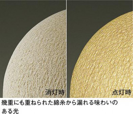 ͼ̿ | DAIKO ŵ  DST-39537Y | ̿䡦ƥꥢΡڥ饤ȥ