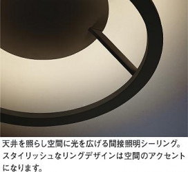 ͼ̿|DAIKO ŵ  DCL-40641YG