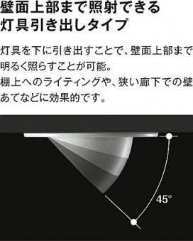 |DAIKO ŵ ˥С饤 DDL-4700YW