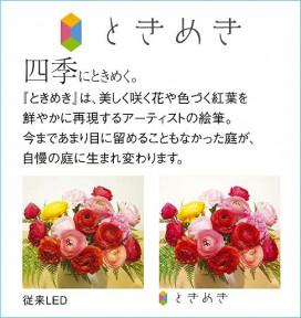 |DAIKO ŵ 饤() DDL-8793WW