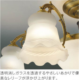 ħ̿|KOIZUMI ߾ ֥饱å AB47629L