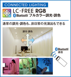 ODELIC ǥå 饤 OD361010RG ̿2