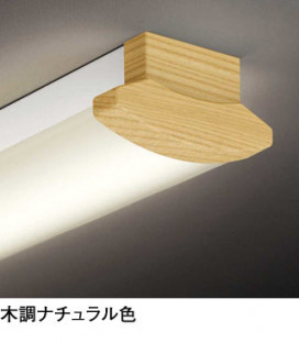 ODELIC ǥå å饤 OL291030R3F ̿1