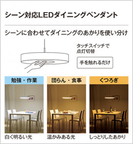 ODELIC ǥå ڥȥ饤 OP252038R ̿6