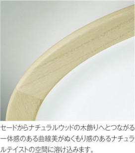 ħ̿ Koizumi ߾ AH48867L