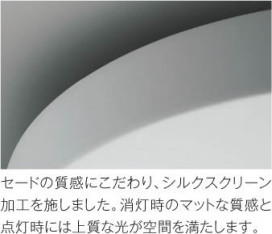 ħ̿ Koizumi ߾ AH48891L