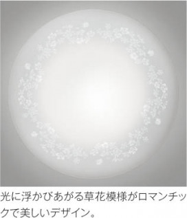 ħ̿ Koizumi ߾ AH48930L