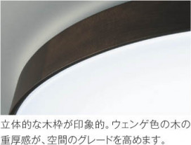 ħ̿ Koizumi ߾ AH48972L