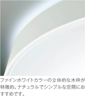 ħ̿ Koizumi ߾ AH48979L
