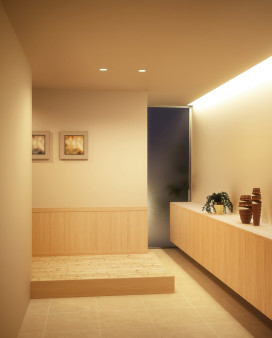 R15鿧LED | ODELIC ǥå Ѵܾ OL291222R | LEDη¡ʰ Ҹ