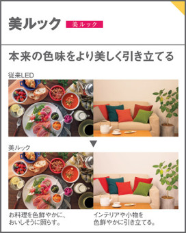 Panasonic 饤 XAD3111LKCE1 ̿6