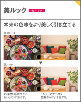 Panasonic 饤 XAD3131NKCE1 ̿6