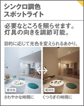 Panasonic ݥåȥ饤 XAS3503CU1 ̿3