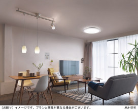 Panasonic 󥰥饤 LGCX31163 ̿1