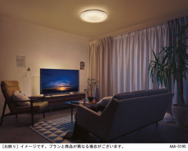 Panasonic 󥰥饤 LGCX31163 ̿5