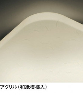 ODELIC ǥå 󥰥饤 OL291014R ̿2