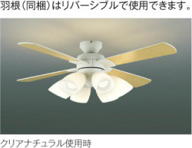 ħ̿ | Koizumi ߾ ƥꥢե AM43211L