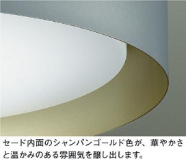 ͼ̿|DAIKO ŵ LEDĴ DCL-42381