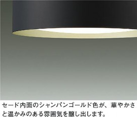 ͼ̿|DAIKO ŵ LEDĴڥ DPN-42377