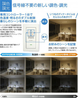 |DAIKO ŵ LEDĴݥåȥ饤 DSL-CD210W