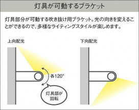 |DAIKO ŵ LED֥饱å DBK-39881G