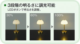 |DAIKO ŵ LED DST-41888R