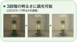 |DAIKO ŵ LEDȥɥ DWP-41467R