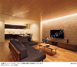 Panasonic ۲ LGB50068XB1 ̿5