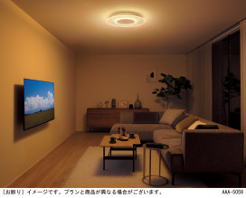 Panasonic 󥰥饤 LGC38110 ̿4