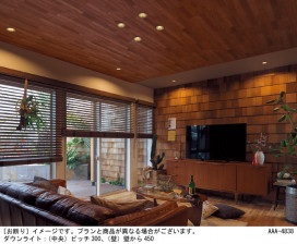 Panasonic 饤 SLD1011VLB1 ̿1