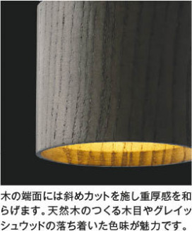 ħ̿ Koizumi ߾ LEDڥ AP57311