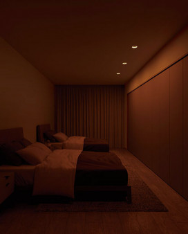 ODELIC ǥå 饤 OD361674BR ̿4