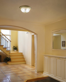 ODELIC ǥå 󥰥饤 OL011103NR ̿1