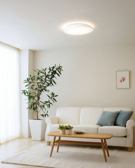 ODELIC ǥå 󥰥饤 OL291554GR ̿2