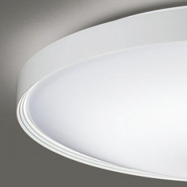 ODELIC ǥå 󥰥饤 OL291554GR ̿3