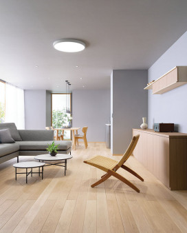 ODELIC ǥå 󥰥饤 OL291689BR ̿3