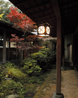 ODELIC ǥå ƥꥢ饤 OP035403NR ̿1