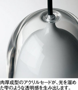 ODELIC ǥå ڥȥ饤 OP252665NR ̿4