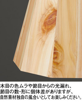 ODELIC ǥå ڥȥ饤 OP252939WR ̿1