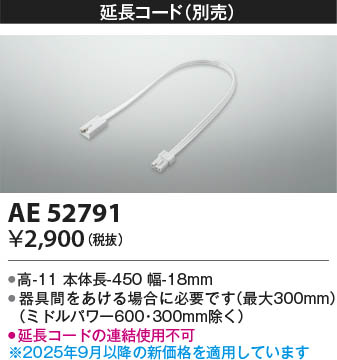 β Koizumi ߾ Ĺ AE52791
