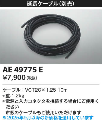 β Koizumi ߾ Ĺ֥ AE49775E